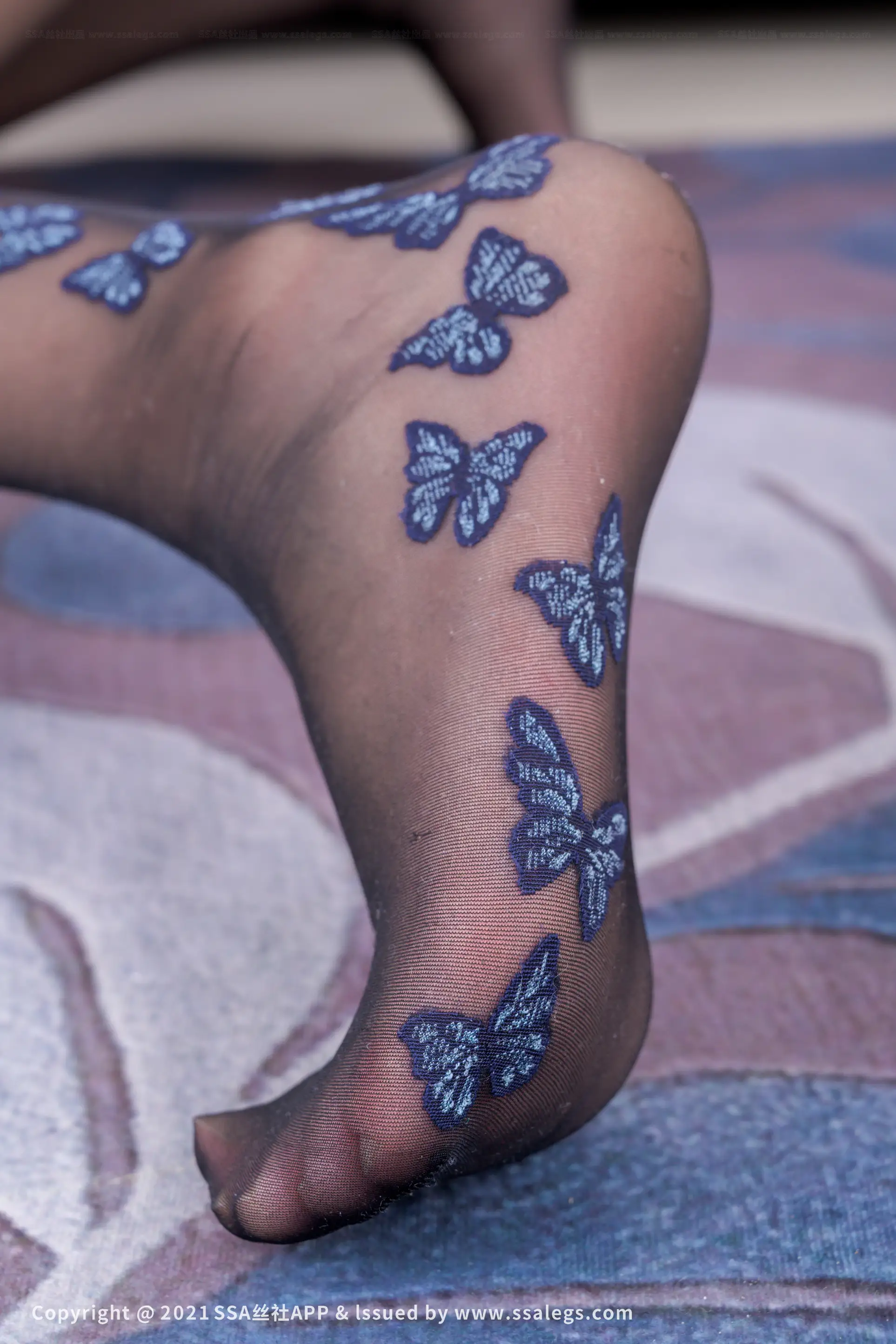 [Mzsock] NO.773 Polish butterfly pattern stockings with plain legs (Part 2) silk club#[112P]-49